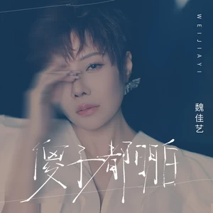 魏佳艺 - 傻子都明白