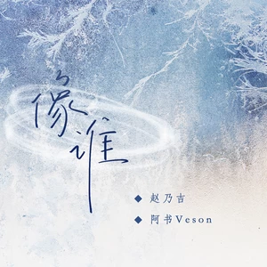 赵乃吉/阿书Veson - 像谁(伴奏)