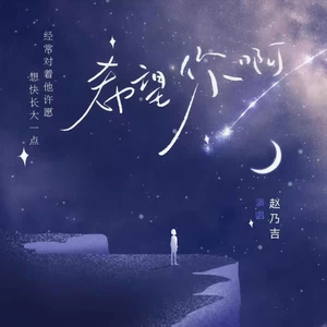 赵乃吉 - 希望你啊