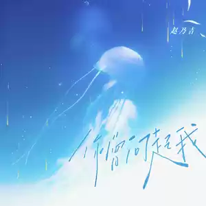 赵乃吉 - 你曾问起我