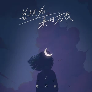 赵乃吉 - 总以为来日方长(live版伴奏)