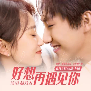 赵乃吉 - 好想再遇见你