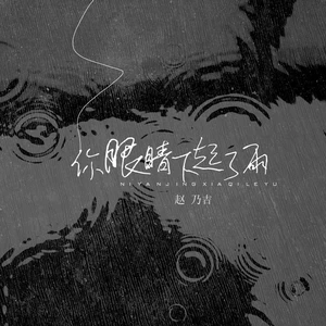 赵乃吉 - 你眼睛下起了雨(伴奏)