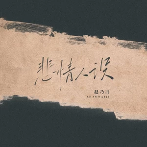 赵乃吉 - 悲情人设(伴奏)