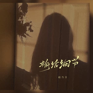 赵乃吉 - 输给细节(伴奏)