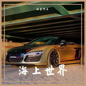 海来阿木 - 或许我是爱你的