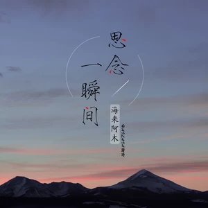 海来阿木 - 思念一瞬间(DJ名龙版伴奏)