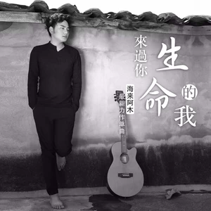 海来阿木 - 来过你生命的我(伴奏)