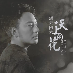 海来阿木 - 天上的花(伴奏)