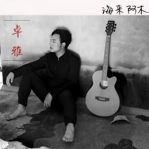 海来阿木 - 卓雅(伴奏)