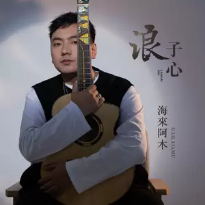 海来阿木 - 浪子心(DJ沈念版伴奏)