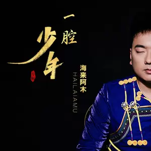 海来阿木 - 一腔少年(DJ沈念版)