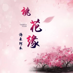 海来阿木 - 桃花缘 (DJ沈念版伴奏)(DJ沈念版)