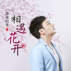 海来阿木 - 相遇花开(DJ可乐版伴奏)