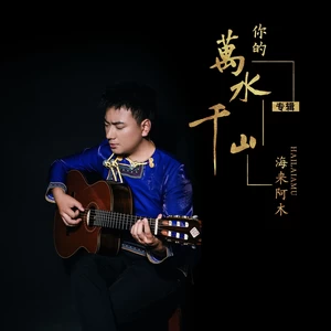 海来阿木 - 你的万水千山(DJ沈念版伴奏)