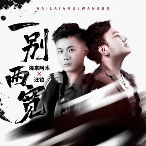 海来阿木/汪铂 - 一别两宽