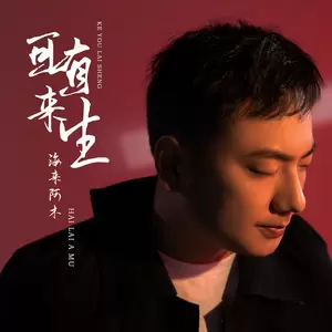 海来阿木 - 可有来生(DJ沈念版 伴奏)