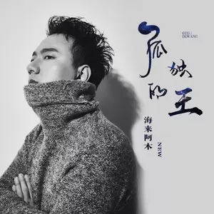 海来阿木 - 孤独的王(纯音乐)