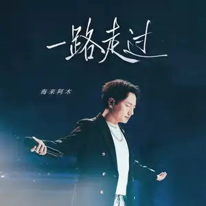 海来阿木 - 一路走过(DJ版)