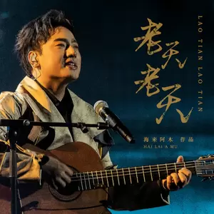 海来阿木 - 老天老天(DJ沈念版伴奏)