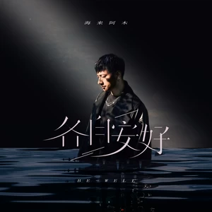 海来阿木 - 各自安好(Live版)