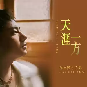 海来阿木 - 天涯一方(DJ默涵版)