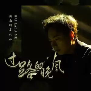 海来阿木 - 过路的晚风(DJ默涵版)