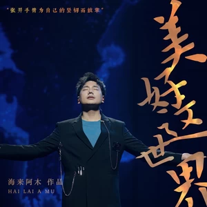 海来阿木 - 美好这世界(伴奏)