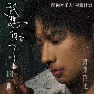 海来阿木 - 我想你了(DJ小鱼儿版伴奏)