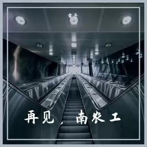 丁丁/雷子 - 再见，南农工