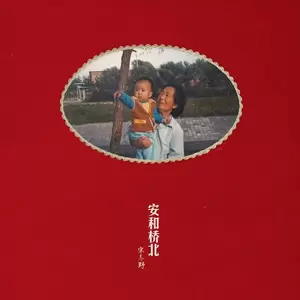宋冬野 - 鸽子