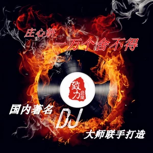 庄心妍/祁隆 - 一万个舍不得(DJ 阿圣)
