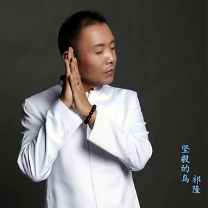 祁隆 - 坚毅的鸟(伴奏)