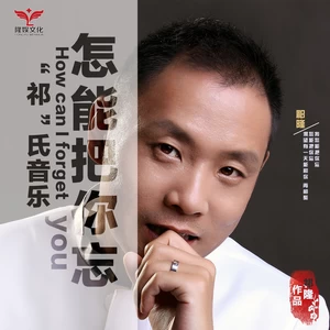 祁隆 - 怎能把你忘(伴奏)
