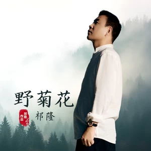 祁隆 - 野菊花(女伴奏)