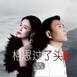 祁隆/王紫菲 - 相思过了头(DJ默涵版)