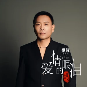 祁隆 - 爱情的眼泪(DJ阿远版伴奏)
