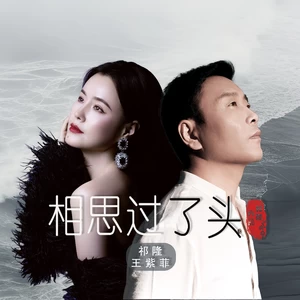 祁隆/王紫菲 - 相思过了头(无女声伴奏)