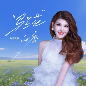马兰花的香