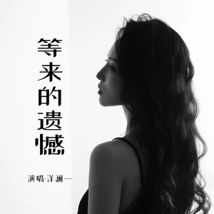 等来的遗憾(DJ道洋版)