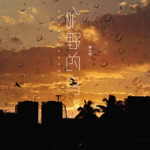 林小珂 - 旷野的鸟