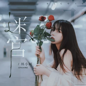 林小珂 - 迷宫(伴奏)