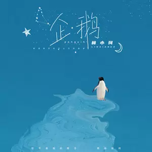 林小珂 - 企鹅(伴奏)