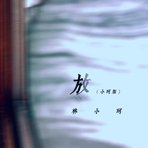 林小珂 - 放(小珂版伴奏)