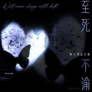 林小珂/方畅 - 至死不渝(伴奏)