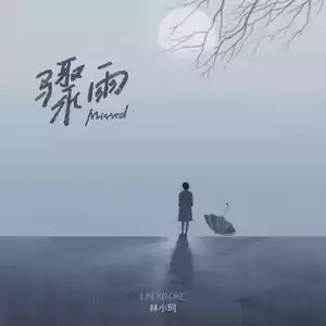 林小珂 - 骤雨(伴奏)