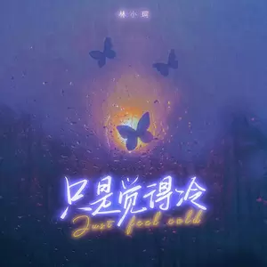 林小珂 - 只是觉得冷(伴奏)