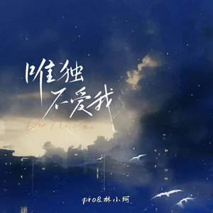 pro/林小珂 - 唯独不爱我(伴奏)