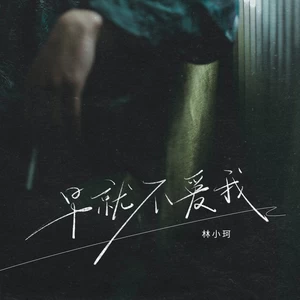 林小珂 - 早就不爱我(DJ九零版伴奏)
