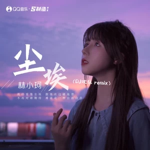 林小珂 - 尘埃(DJ沈乐remix)